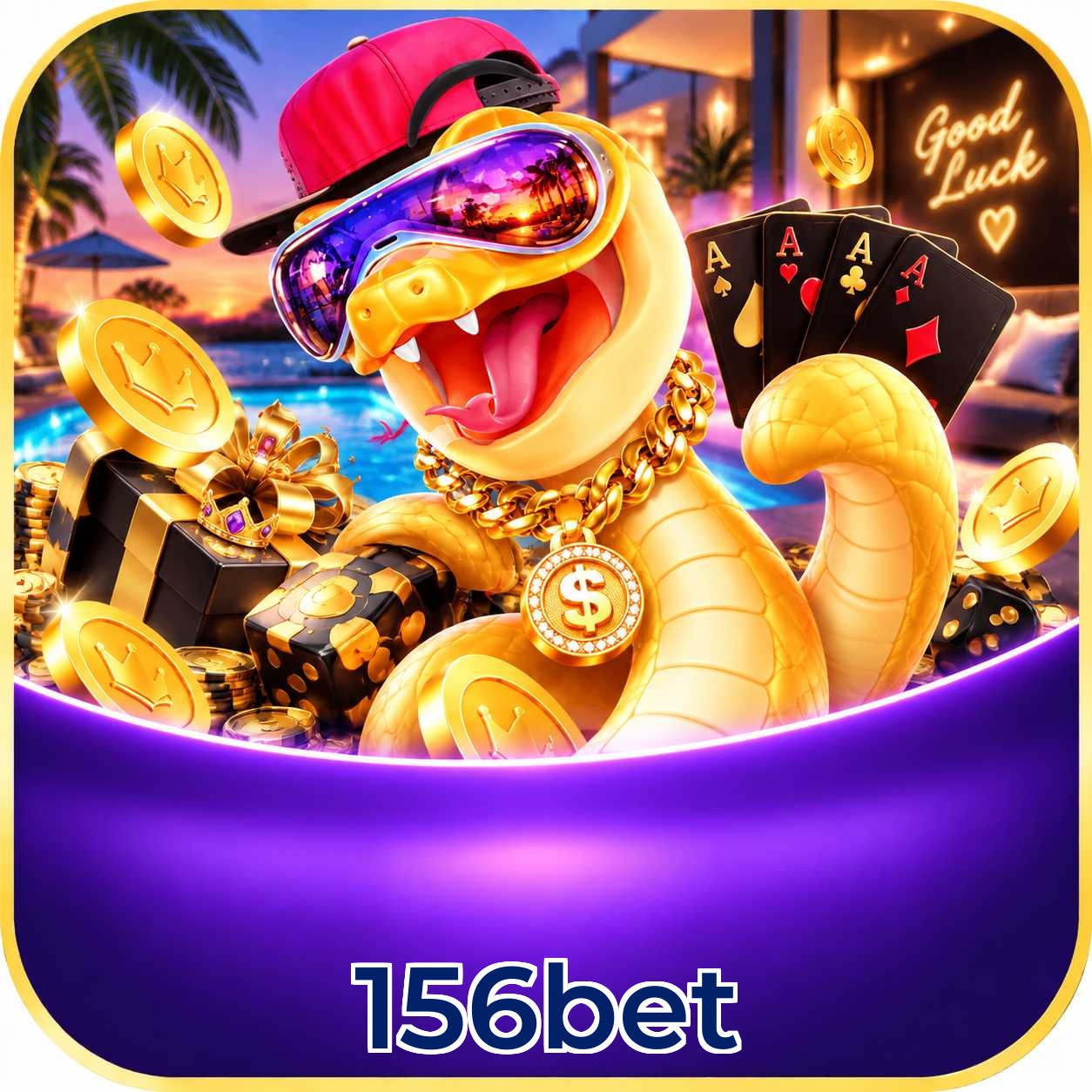 156bet App vs Web